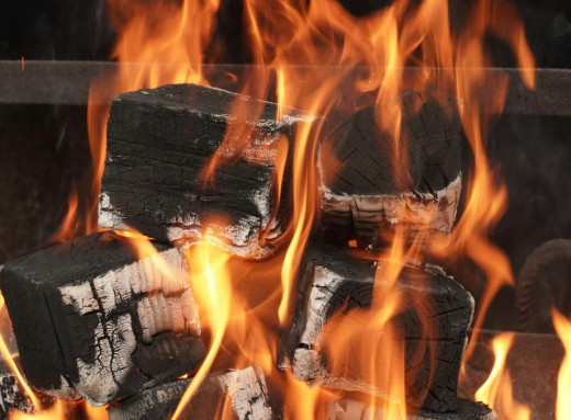 Які дрова гріють найкраще, 3 породи, що тримають жар довше фото