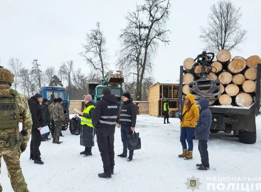 На Чернігівщині "Чорні лісоруби" спричинили збитки на десятки мільйонів гривень! фото