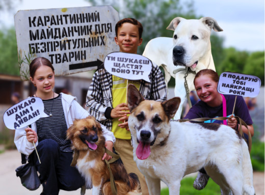 Ці очі шукають дім — як у Славутицькому притулку пройшов День відкритих дверей фото Ці очі шукають дім — як у Славутицькому притулку пройшов День відкритих дверей фото