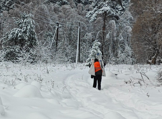 У Славутичі розчищають мережі зовнішнього освітлення від гілок і дерев після снігу та льоду фото