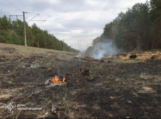 Пожежа на три гектари: Жінка з Малійок отримала штраф у розмірі 15 тисяч за спалення трави фото