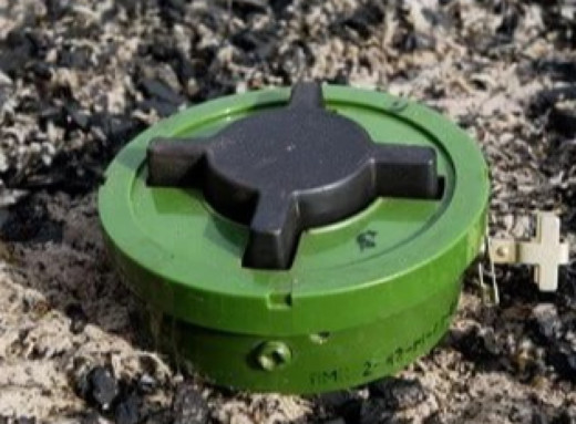 Польща виходить із Оттавської конвенції та готується до виробництва протипіхотних мін фото