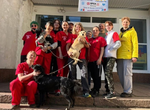 Американські ветеринари повертаються до Славутича, щоб допомагати тваринам фото