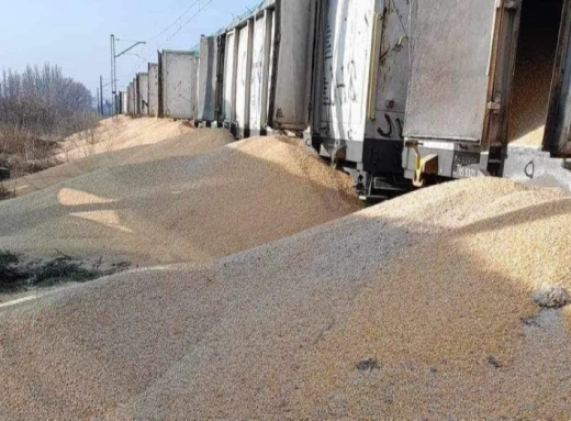 Наймасштабніша диверсія з українським зерном: Поляки пошкодили більше 8 вантажних вагонів з українською кукурудзою! фото