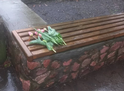Романтик чи вандал? Понівечені клумби з тюльпанами у славутицькому парку фото