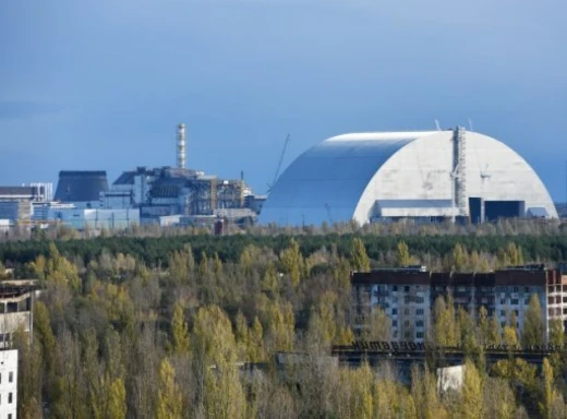 У Чорнобильському заповіднику сфотографували червонокнижного красеня фото
