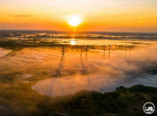 Найдовший день року в Чорнобильському заповіднику: чому ця дата особлива