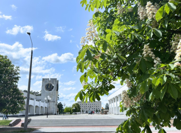 У Славутичі зацвіли каштани: місто увійшло в найкрасивіші дні травня