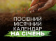 Що сіяти у січні та які дні вважають найвдалішими для посіву