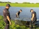 Поліція Чернігівщини розслідує трагічну загибель 12-річної дитини у річці Десна