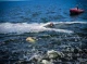 Трагедія в Одесі: Знайдено тіло молодої поліцейської, яку змило хвилею