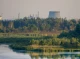 Несподівана зустріч у Чорнобильському заповіднику: Фотофакт